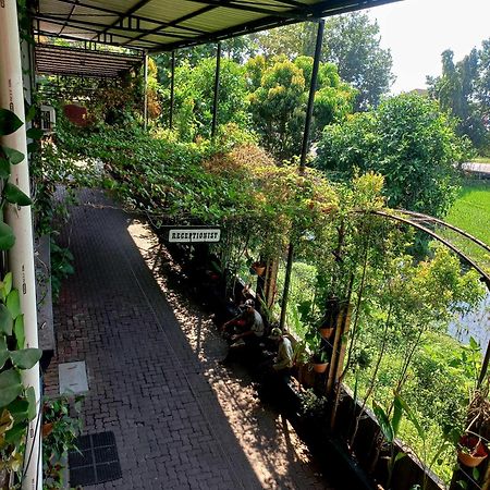 Hotel Omah Cepit Экстерьер фото