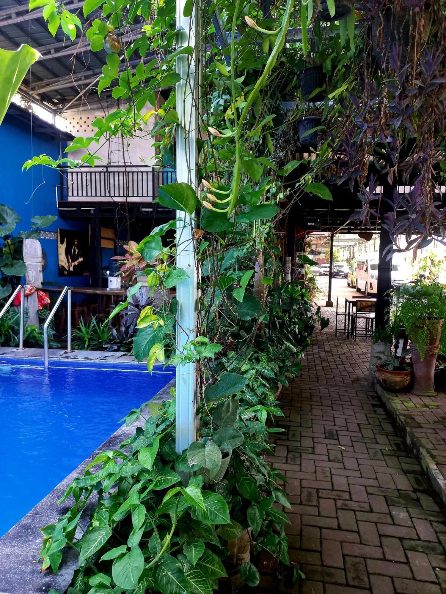Hotel Omah Cepit Экстерьер фото